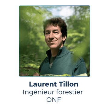 Laurent Tillon